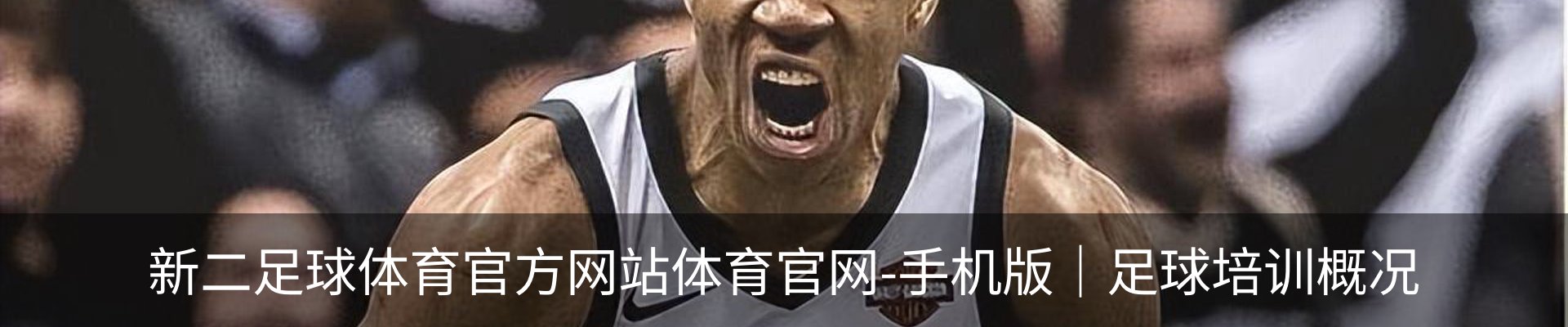 新二足球体育官方网站体育官网-手机版｜足球培训概况